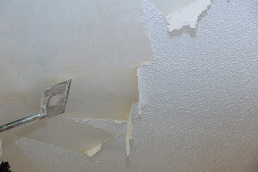 Painter Removing Popcorn Ceiling in Tampa Bay Home