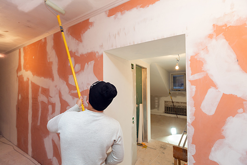 Lutz Man Failing in Painting His Own House