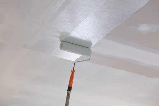 Roller Brush Being Used by Thonotosassa House Painter to Paint Ceiling White