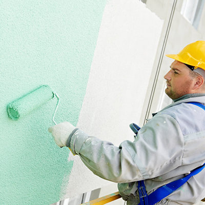 Exterior House Painter Servicing a House in Tampa FL